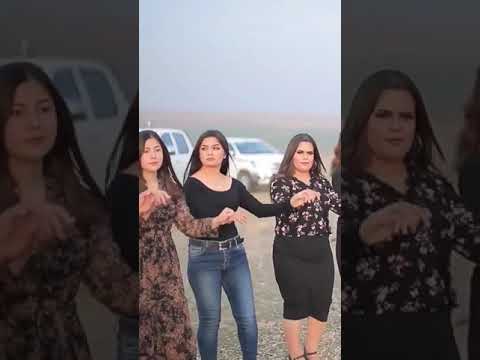 اغنيه شوفير القماره