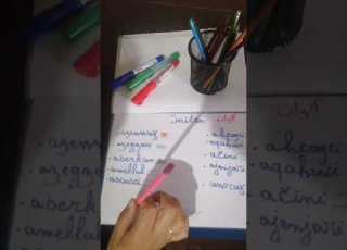 الالوان بالامازيغية مترجمة للعربية لتلاميذ السنة الرابعة و الخامسة ابتداأى