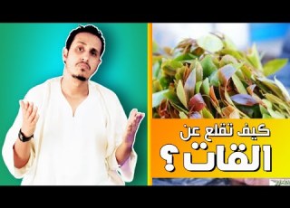  قصة عجيبة كيف تحولت من أكبر مولعي إلى اكبر معادي للقات وما هي اضراره وكيف تقلع عن هذه العادة