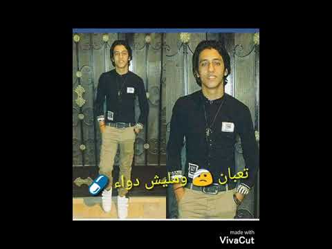 مهرجان قلبي استوي