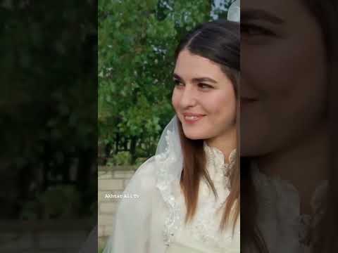 Da Dare Morchal Shortvideo Viral Best Shorts Youtube Da Dare Morchal Shortvideo Viral Best Shorts Youtube