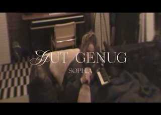  SOPHIA Gut Genug Visualizer