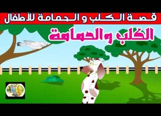 قصة الكلب و الحمامة للأطفال قصص اطفال قصص بالعربي قصص قبل النوم