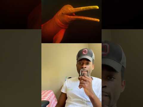 Animals That Will Be Extinct By 2026 Shorts