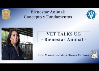 Bienestar Animal Concepto Y Fundamentos