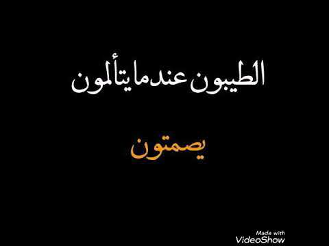 هتيلي كدا يوم واحد بس فرحت انا فيه هتيلي كدا يوم واحد بس فرحت انا فيه