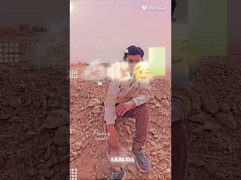 هوا الديب لما يغيب في غيابو تعشه الدبديب اعتني لايك