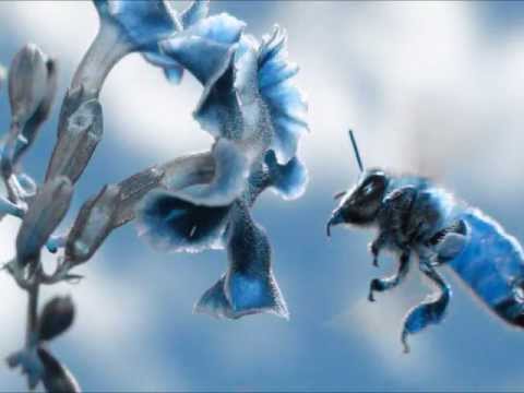 عبد الحليم يا رب سبحانك انا من تراب عبد الحليم يا رب سبحانك انا من تراب