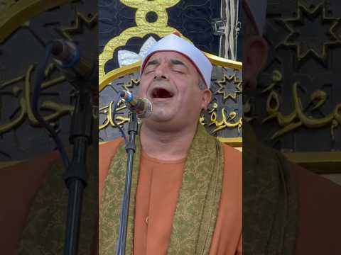 والمؤتفكة أهوي الجواب الأشهر والاجمل للشيخ محمد يحى الشرقاوي من ختام دناصور الشهداء منوفيه