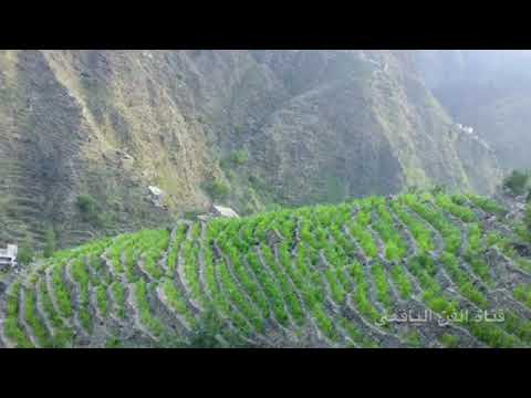 حسين صالح قال والله يالحسين انه حسين الفنان علي بن جابر اليزيدي