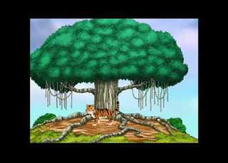  Go Diego Go Tiger