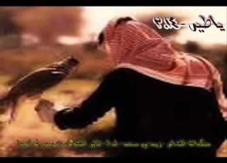 حمام يلي