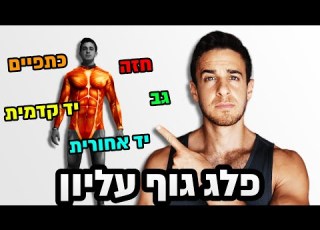 אימון משקולות ביתי ידיים כתפיים גב חזה אימון משקולות פלג גוף עליון לחיטוב וגם למסה