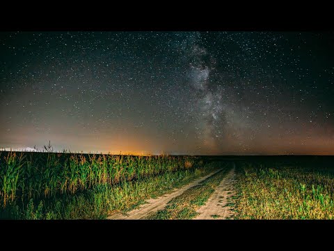 Summer Night Crickets Chirping NO ADS 10 Hours Of Calming Nature Sounds