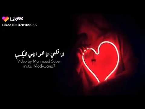 محمد نور بقولك اي انا قلبي هو اللي هيكسب