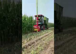 Corn Harvest Machine