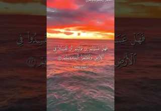 سورة محمد من آية 21 إلى آية 24 بصوت الشيخ ياسر الدوسري