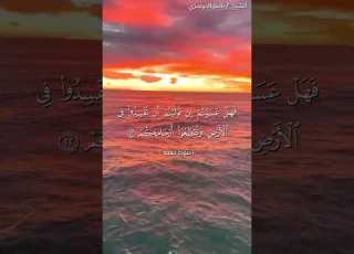 سورة محمد من آية 21 إلى آية 24 بصوت الشيخ ياسر الدوسري