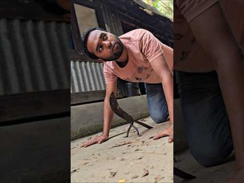 ঈশ বর সর বশক ত ম ন Shorts