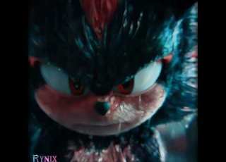 I Let The World Burn Shadow