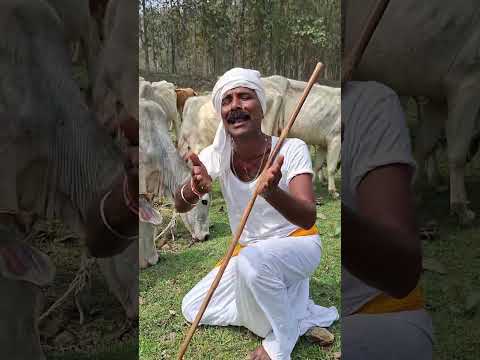 Yatani Ke Re Jhuniya Tu Ka Sumri Maya Na Daahin H Ijaao Ab Dayalaya Ab Dayalay De