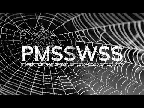 Project Mutant Spider Spider Webs Spider Silk Episode 2 Disco Night Club Scene Audio Only Project Mutant Spider Spider Webs Spider Silk Episode 2 Disco Night Club Scene Audio Only