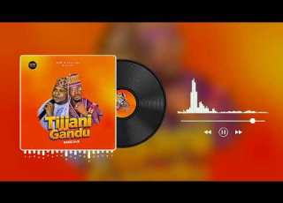  TIJJANI GANDU BY BASEE NJB Official Audio 2026 Sabuwar Wakar Tijjani Gandu Hamisu Breaker 2026