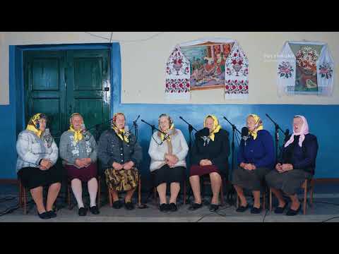 Шо й ув полі в полі сухий дуб розвився Polyphonyproject Com