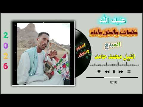 الفنان النيل محمد حامد