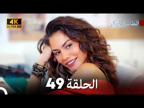 مسلسل الطائر المبكر الحلقة 49 4K Arabic Dubbed
