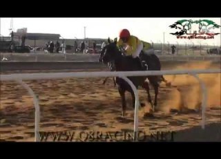 بطل كأس الأمير الجواد نعم الرفيق لاسطبل الخضر