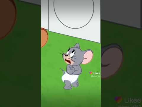 شو اسمك جنى أغنية باسم جنى