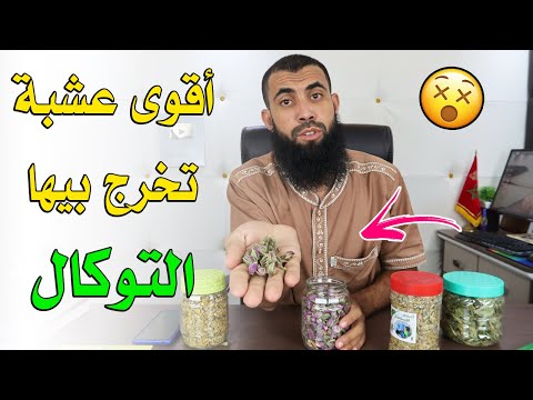 أقوى عشبة تخرج بيها التوكال لقديم أو حتى الجديد سبحان الله