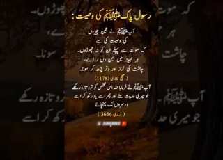  القرآن سورة يس سورة الصافات سورة الزمر سورة غافر سبحان الله ما شاء الله ذكر نور
