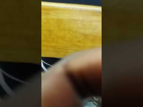 Was Gabar Somali Wasmo