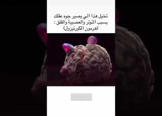  شاهد ماذا يحدث داخل عقلك بسبب التوتر و العصبية و القلق القرآن الكريم الحمدلله هرمون الكورتيزول