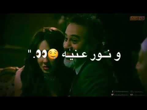 حالات واتس عمرو القط حتي حبيبتي ونور عنيا خانت وباعت