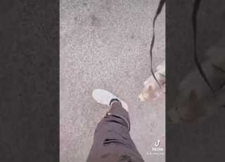 لو فينا نهرب ونطير مع هالورق الطاير تا نكبر بعد بكير شو صاير شو صاير