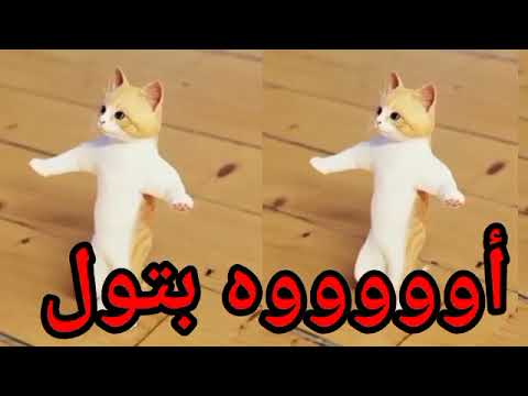 Song Basem Batoul Sweet Birthday Batoul FirstComment SaudiArabia Kuwait Iraq Turkey Song Basem Batoul Sweet Birthday Batoul FirstComment SaudiArabia Kuwait Iraq Turkey