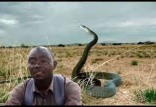 NYOKA KUNYWA UJI WA MOTO MGANGA ASEMA NIMEKOMA NAOMBA MNISAMEHE ASIMULIA YALIYOMKUTA