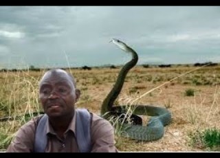  NYOKA KUNYWA UJI WA MOTO MGANGA ASEMA NIMEKOMA NAOMBA MNISAMEHE ASIMULIA YALIYOMKUTA