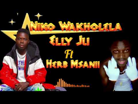 ELLY JU FT HERB MSANII NIKO WAKHOLELA OFFICIAL AUDIO 30k