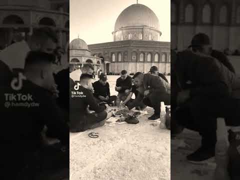 املئي الارض بتكبير يهز الغاصبين حالات واتس فلسطين