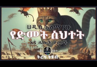 ትረካ የድመት ስህተት ሀዲስ አለማየሁ Amharic Audiobook Ethiopia 2025