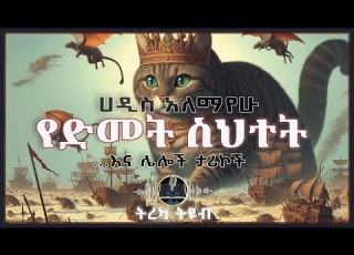 ትረካ የድመት ስህተት ሀዲስ አለማየሁ Amharic Audiobook Ethiopia 2025