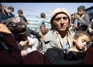  How Does War Affect Global Health