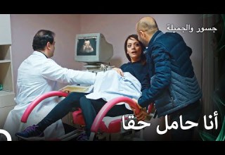 أصبحت لعبة حمل جاهدة حقيقية جسور والجميلة