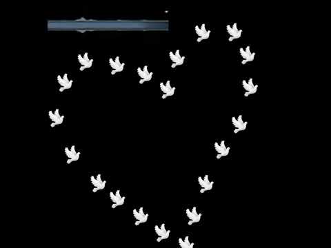 تصميمي شاشه سودا على اسم بشرى اكتبولي بتعليقات رئيكم