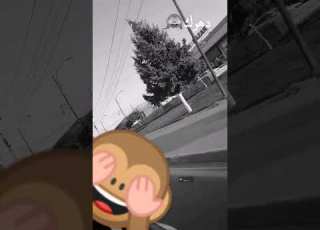 موسهل صدمونييي