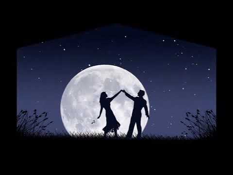 What Can L Do كل ليلة حب عيد مدحت صالح طلعت زين